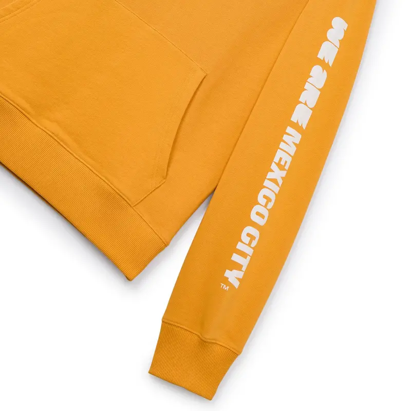 France National Team 2026 World Cup Mexico City Hoodie – Unisex – Official World Cup Football Kits