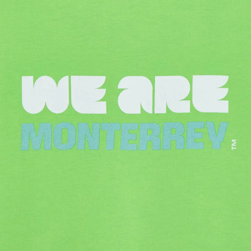 France National Team 2026 World Cup Monterrey T-Shirt – Unisex – Official World Cup Football Kits